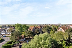 Foto 19/42