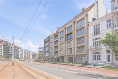 Foto 6/21